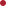 Ellipse icon